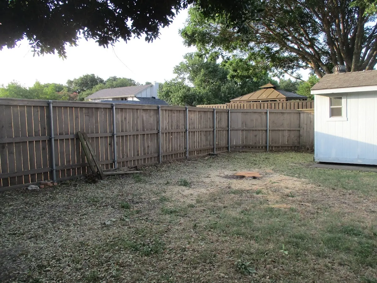 Cleared yard after professional tree removal in North Manchester