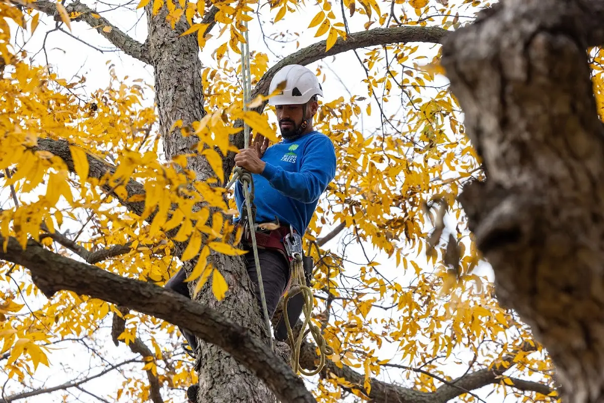Skilled Storm Damage Cleanup crew working in North Manchester